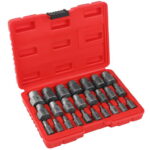 Katkiste kruvide eemaldajad 25 tk KD10077 (D12)